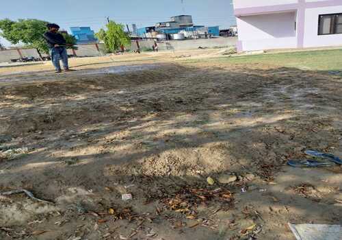 Terrace Garden Services Provider in Noida